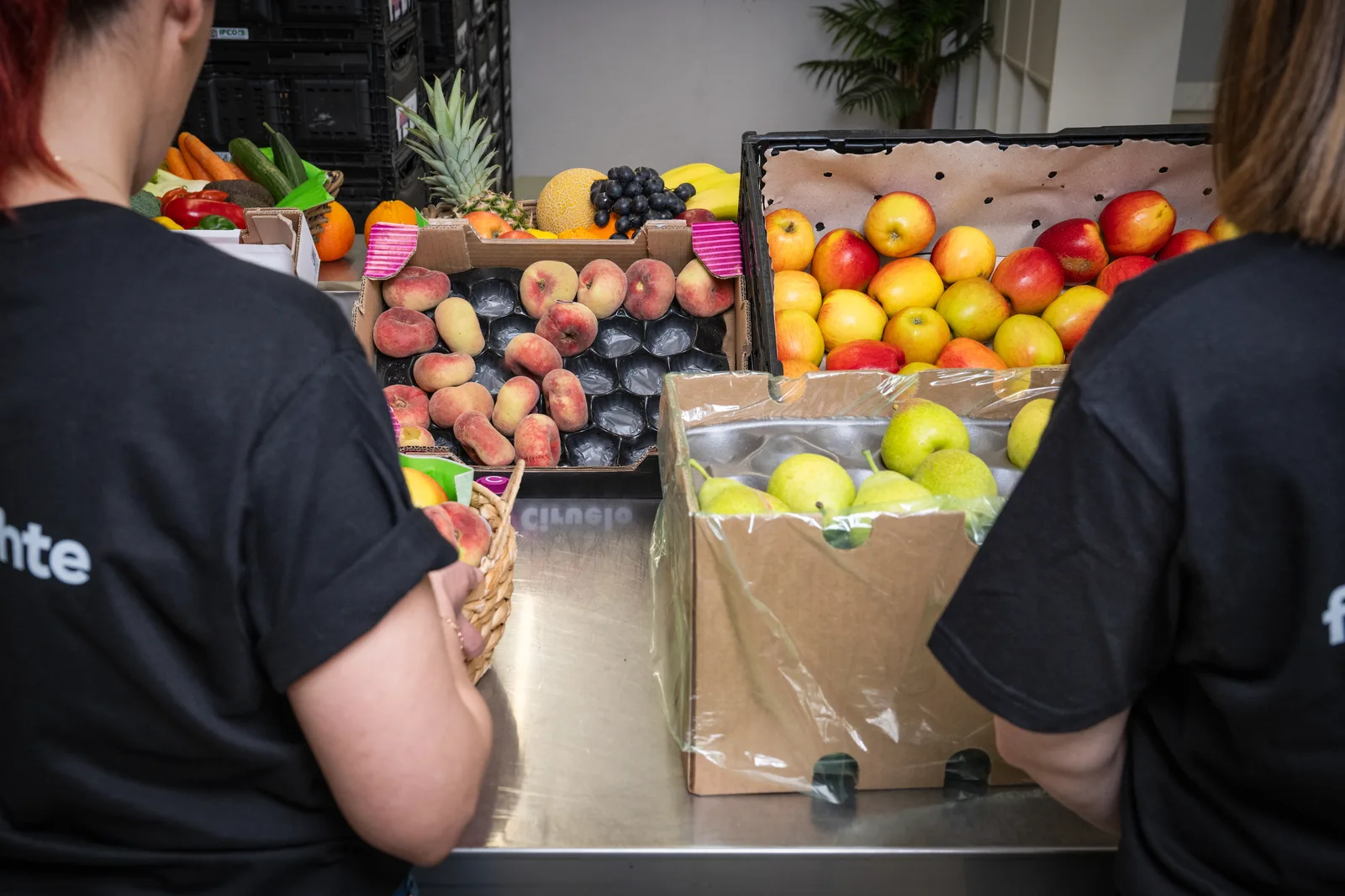 Frische Früchte werden für Firmenlieferungen vorbereitet
