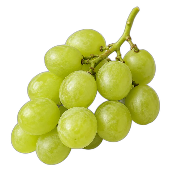 Frische Trauben