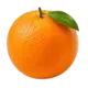 Orangen